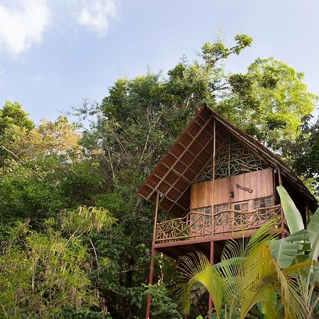 Bio Thermales Hot Springs Villa Palmera Esterno foto