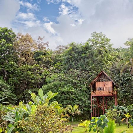 Bio Thermales Hot Springs Villa Palmera Esterno foto