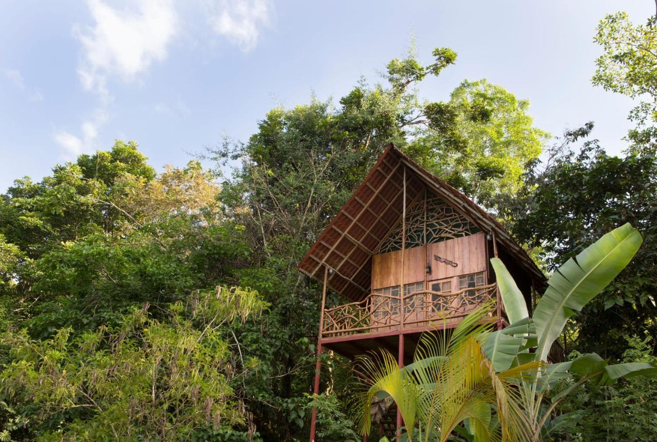 Bio Thermales Hot Springs Villa Palmera Esterno foto