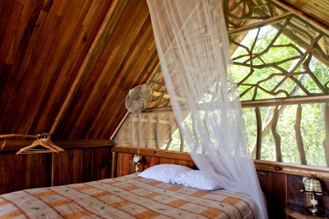 Bio Thermales Hot Springs Villa Palmera Esterno foto