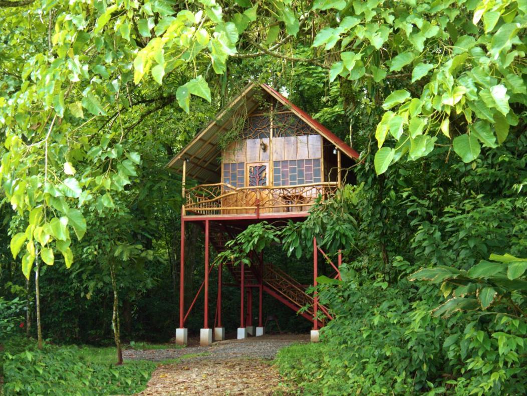 Bio Thermales Hot Springs Villa Palmera Esterno foto