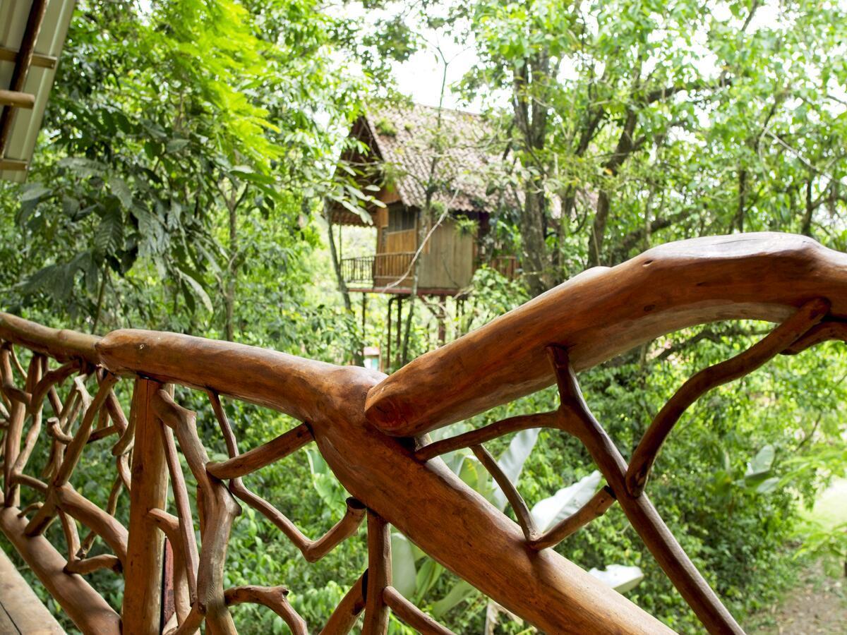 Bio Thermales Hot Springs Villa Palmera Esterno foto